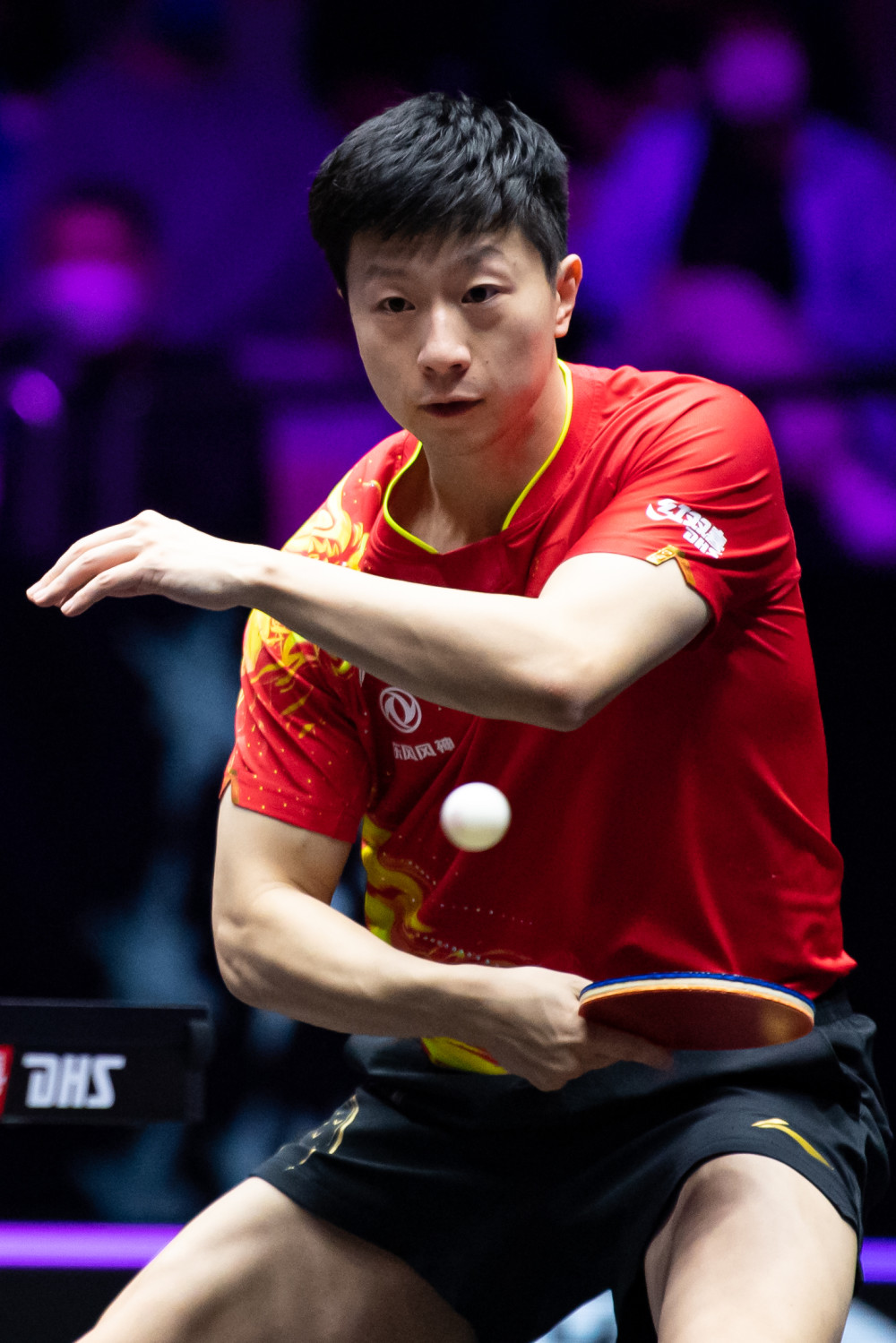 与同类型国 与同类型国